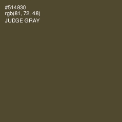 #514830 - Judge Gray Color Image